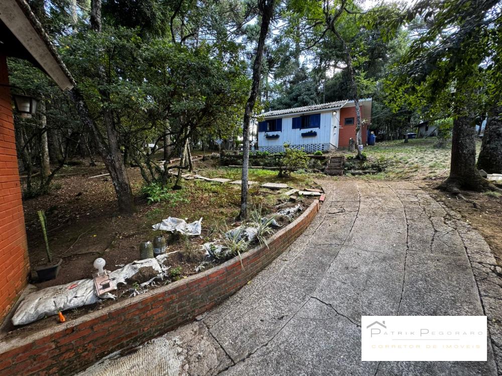 Patrik Pegoraro Imóveis